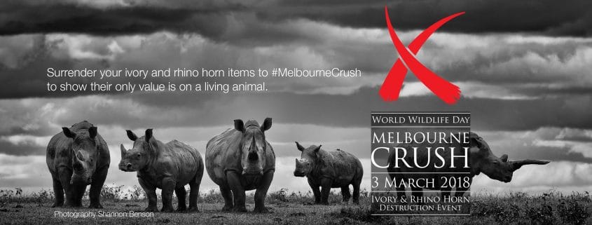 World Wildlife Day Melbourne Crush, 1pm Bourke Street Mall, Melbourne 3 March