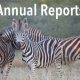 Annual Reports